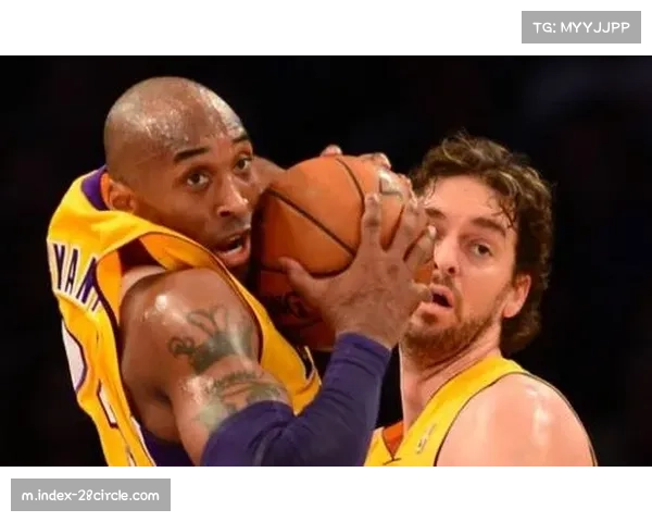 热火终结黄蜂六连胜 希罗准三双展现季后赛竞争力